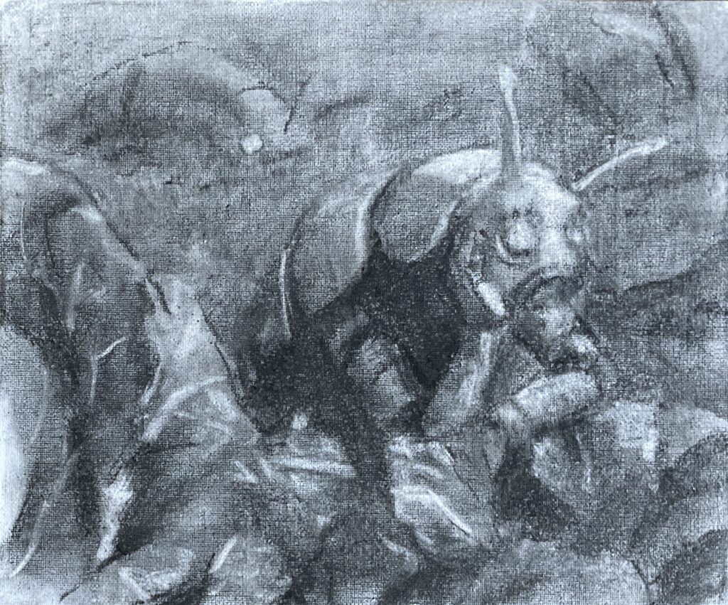 Robotic Insect Sketch 453