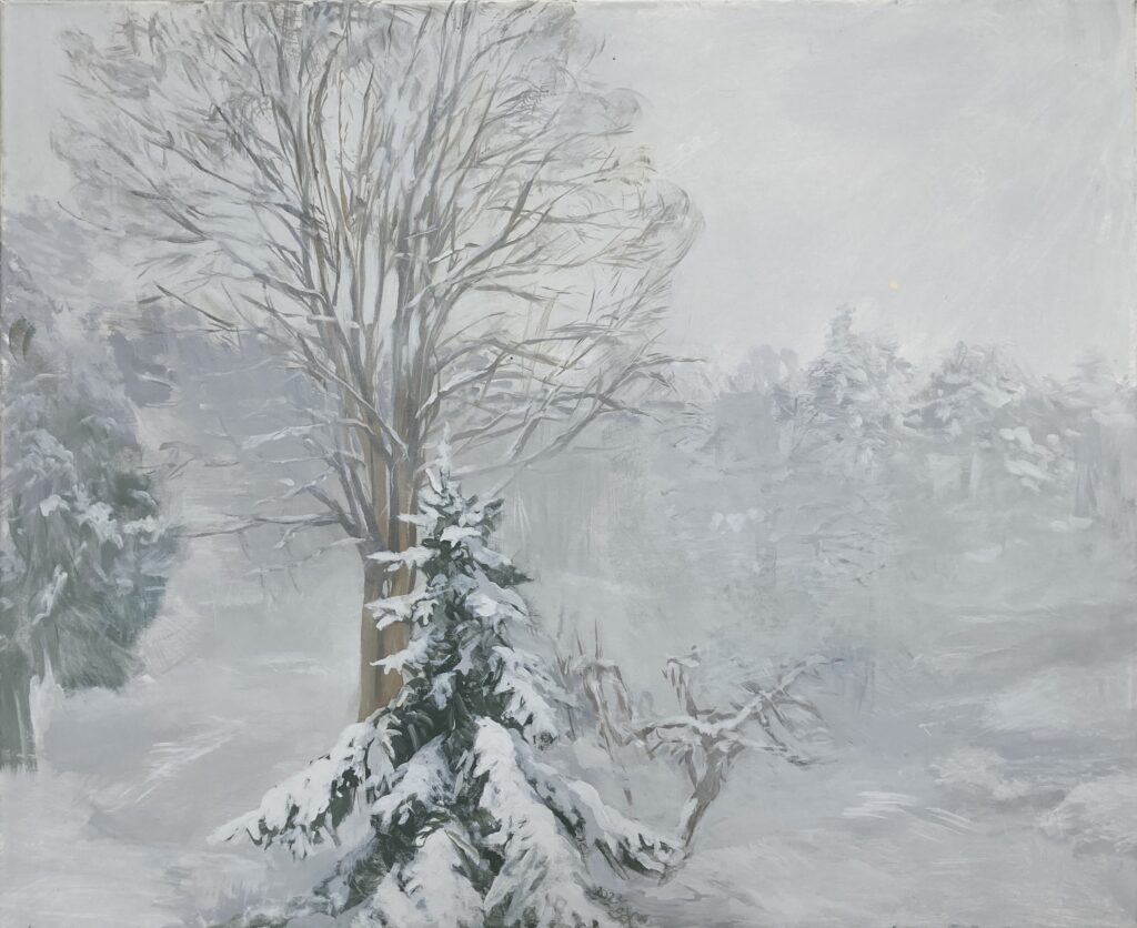 Winter in Nový Hrádek 442